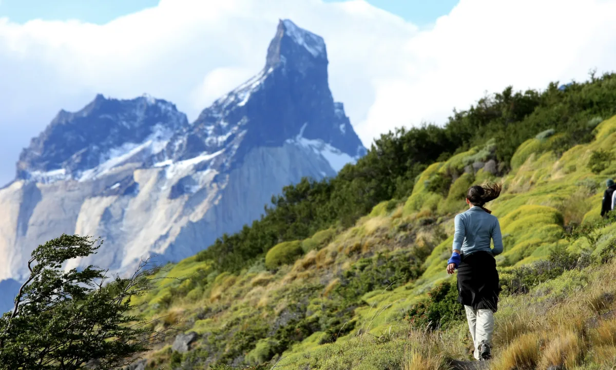 Torres del Paine wilderness