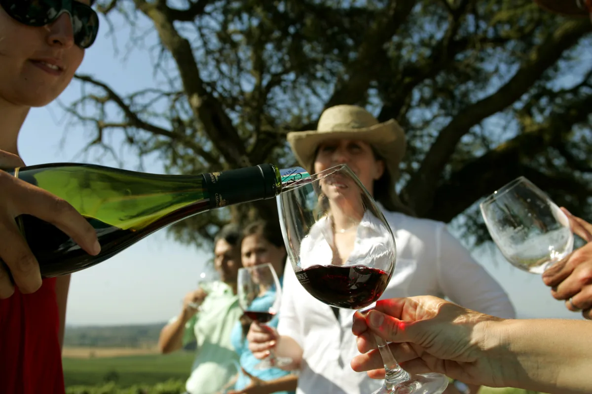 Private wine tasting in a Chilean vineyard