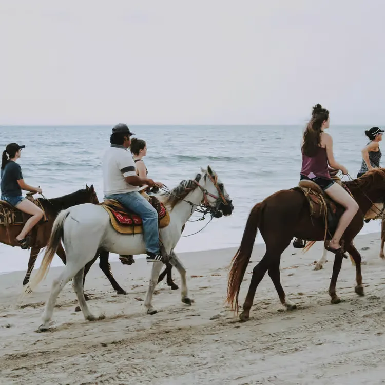 Horseback riding along the beach at sunset