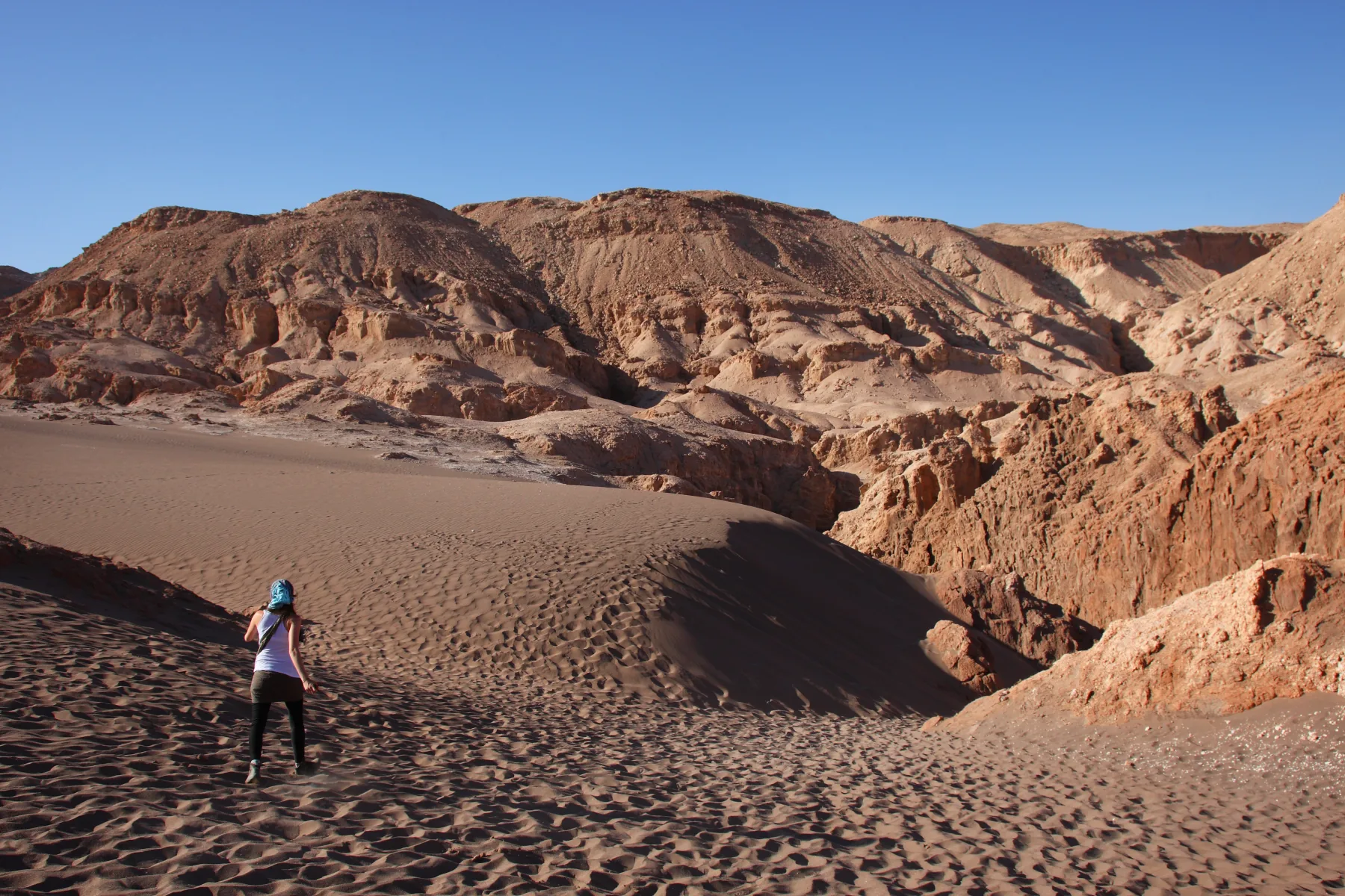 Day 3 &mdash; Altiplanic Lagoons & Piedras Rojas