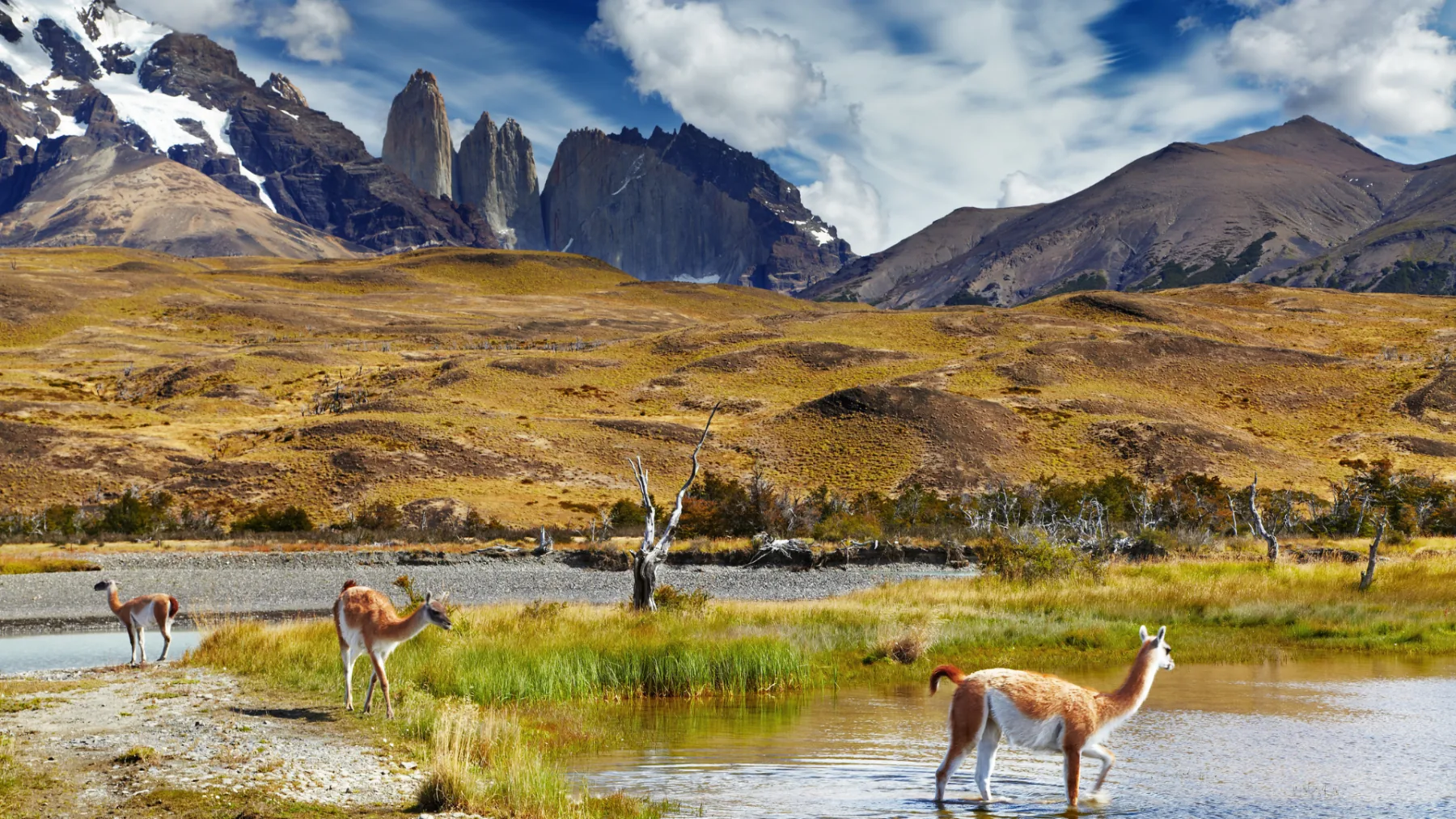 Day 6 &mdash; Discover Torres del Paine