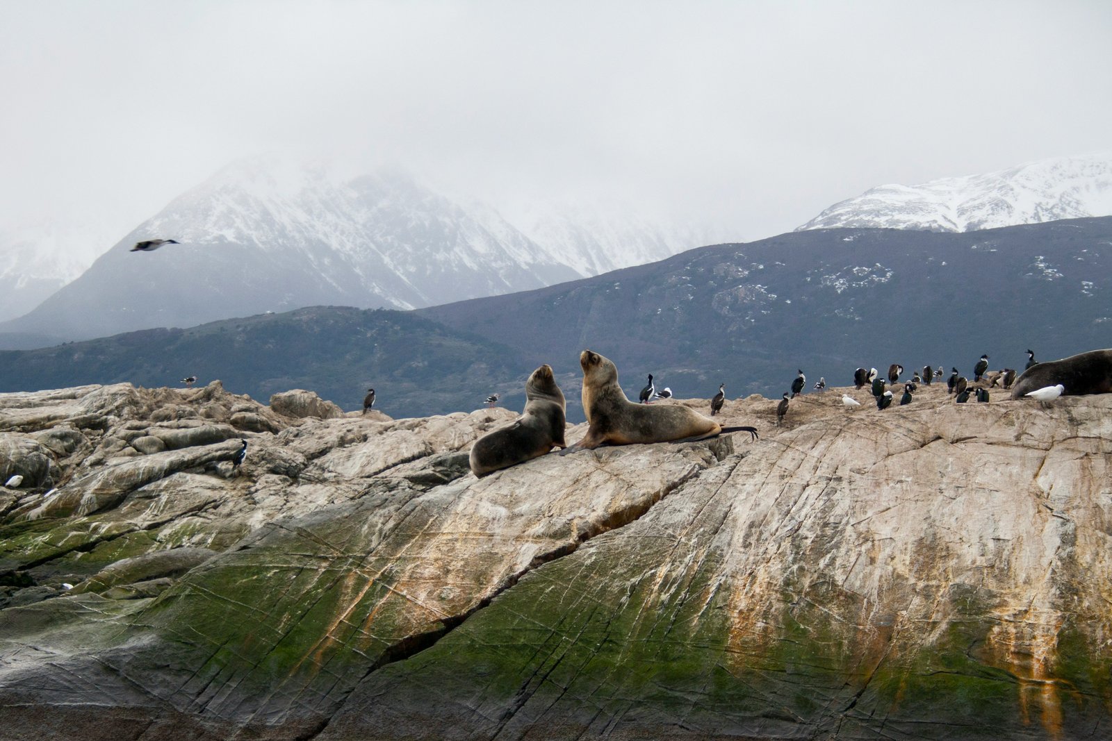 Day 10 — Depart Ushuaia