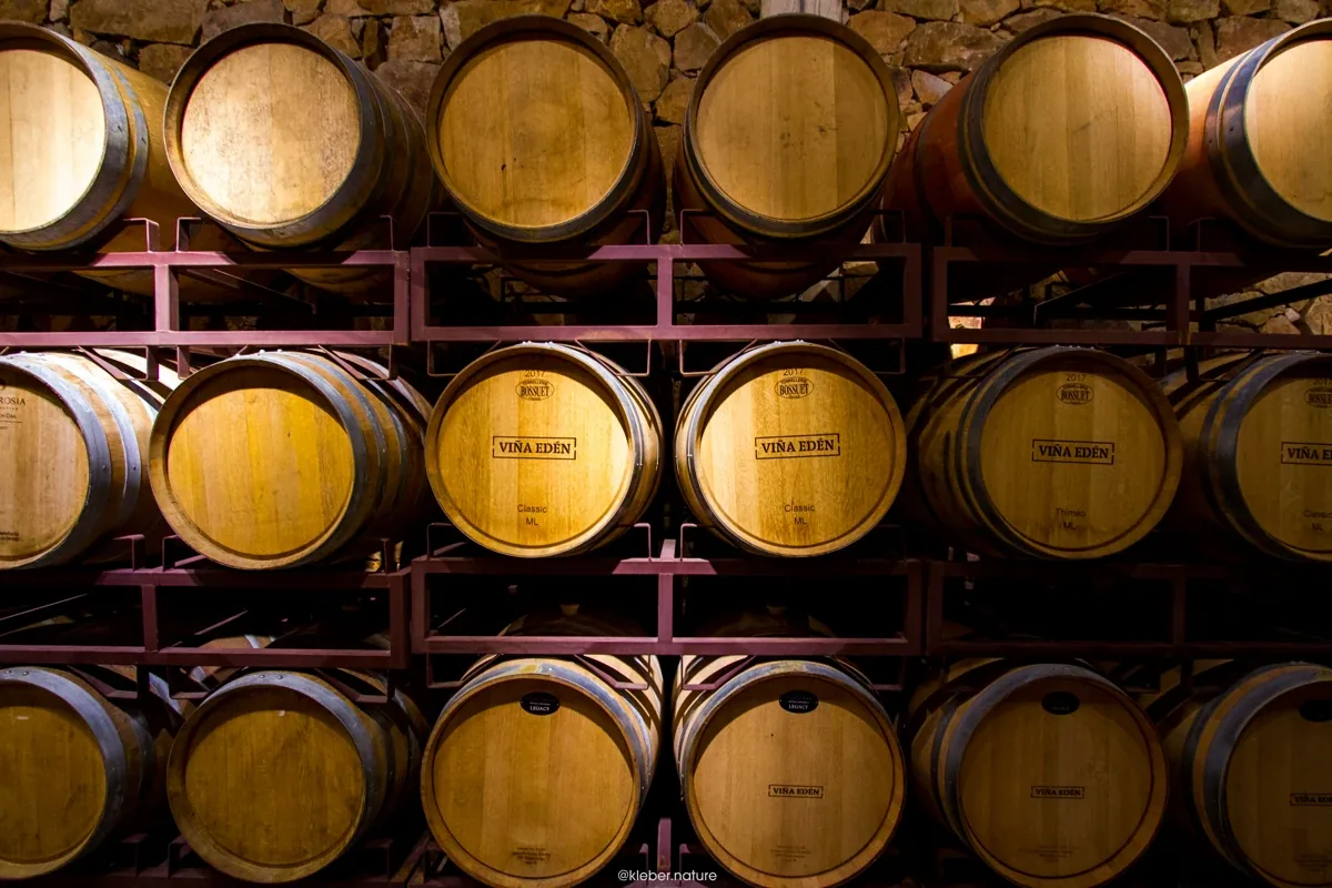 Day 10 &mdash; Pueblo Ed&eacute;n Trails & Vineyard Views