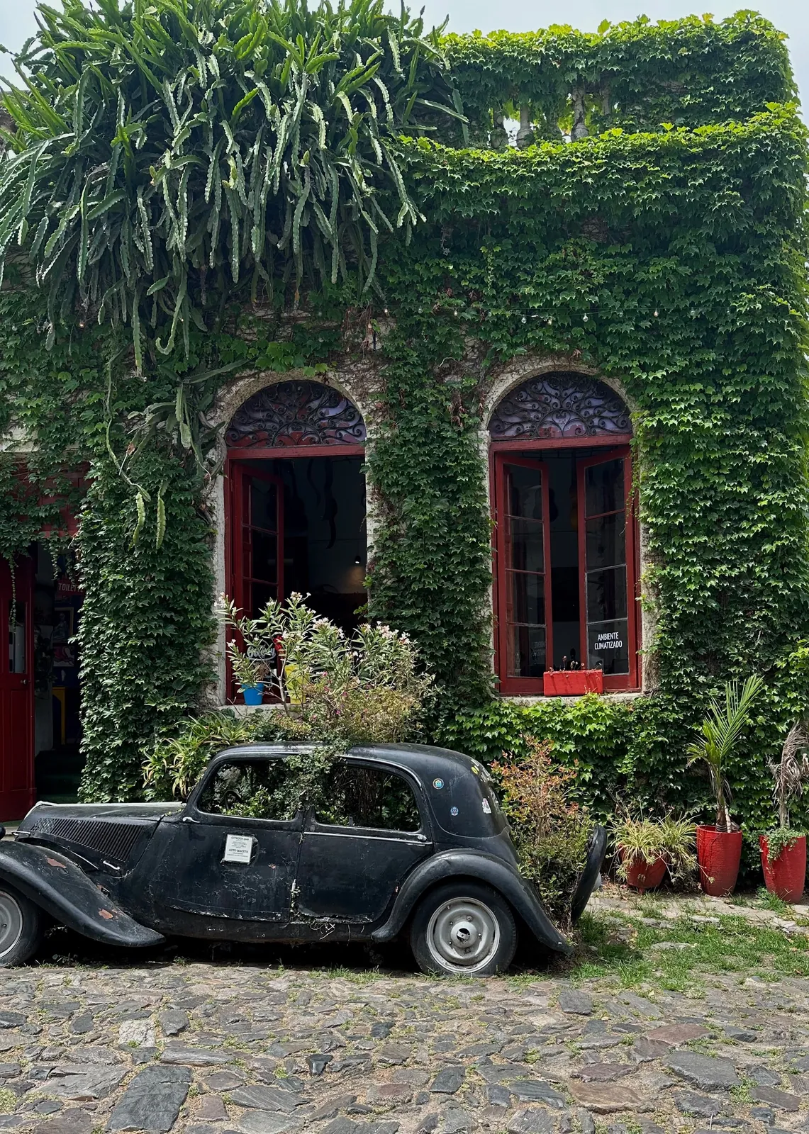 An ivy-covered colonial house with a vintage car used as a planter