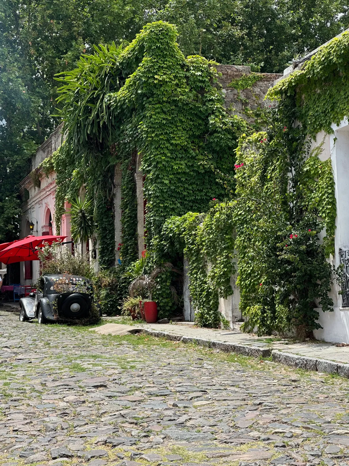 A vine-draped cobblestone street with a vintage car and a café umbrella