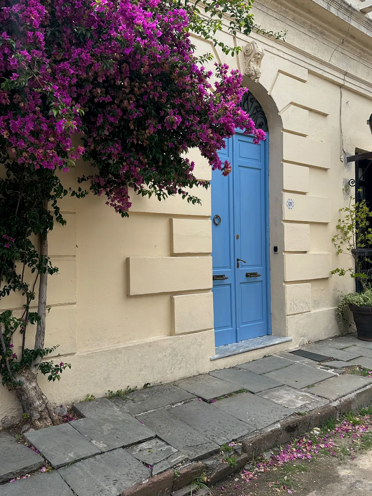A sky-blue colonial doorway framed by magenta bougainvillea