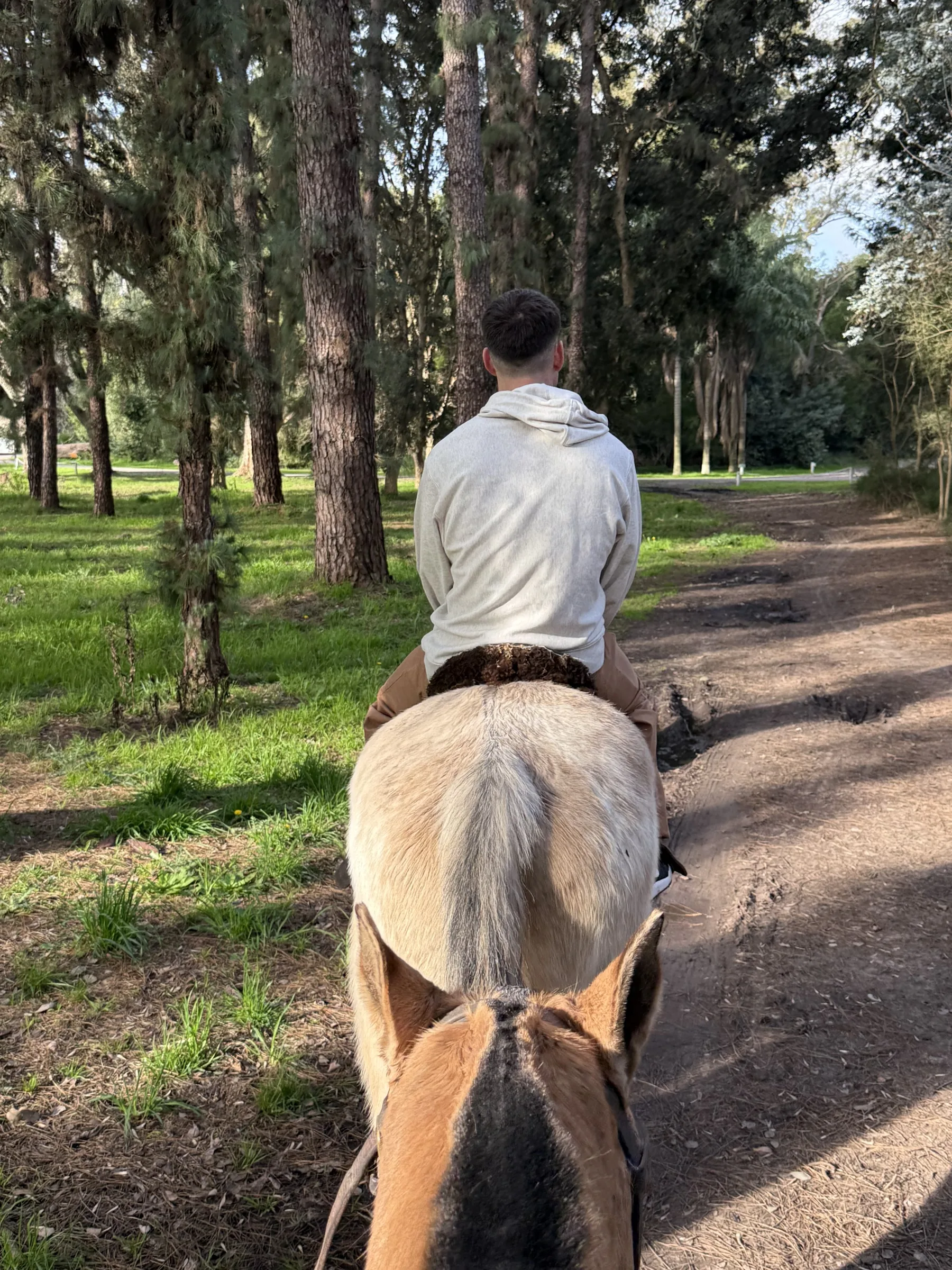 A horseback ride along the tree-lined trails of Estancia Villa María