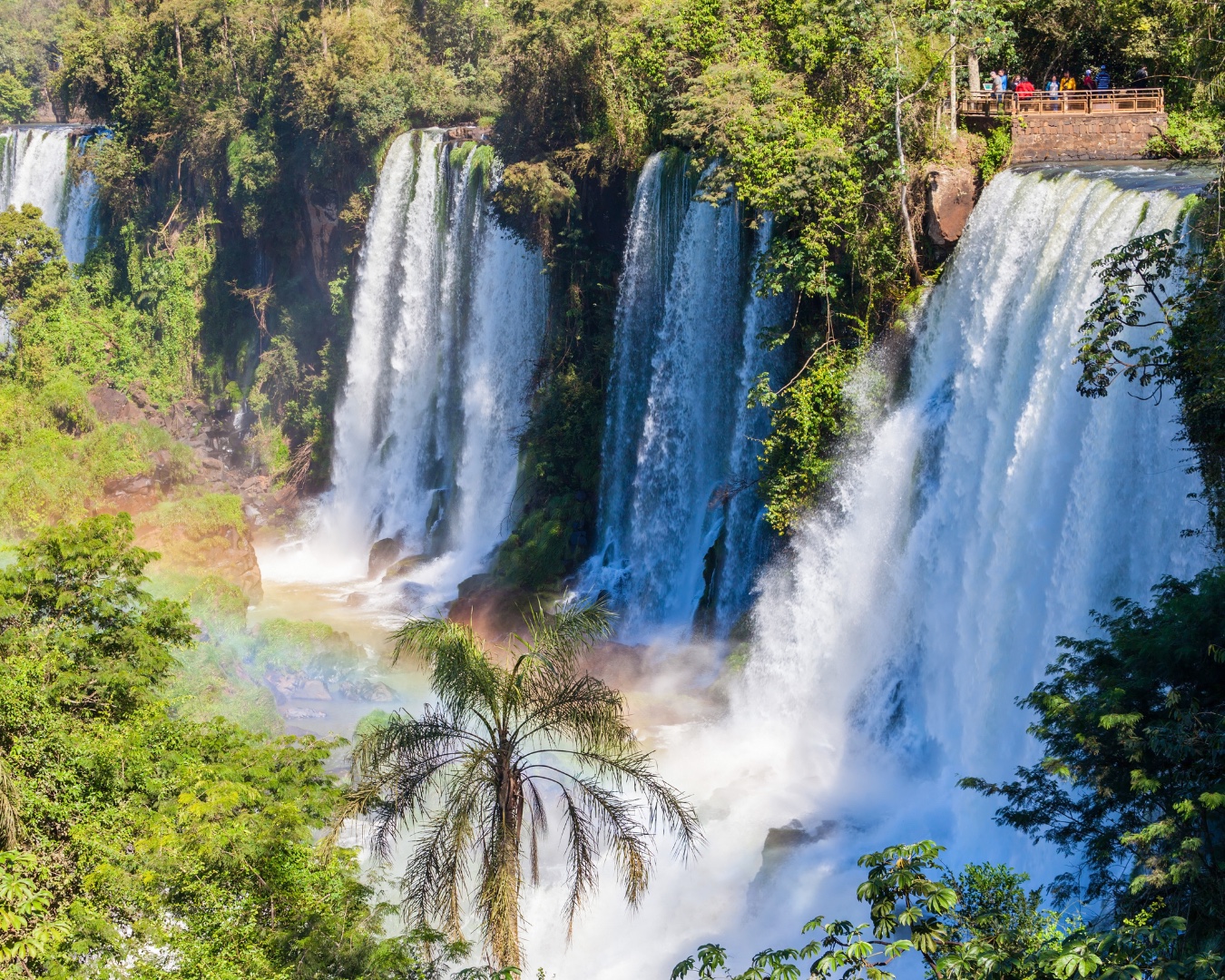 Iguazú Falls cascading through the Misiones rainforest