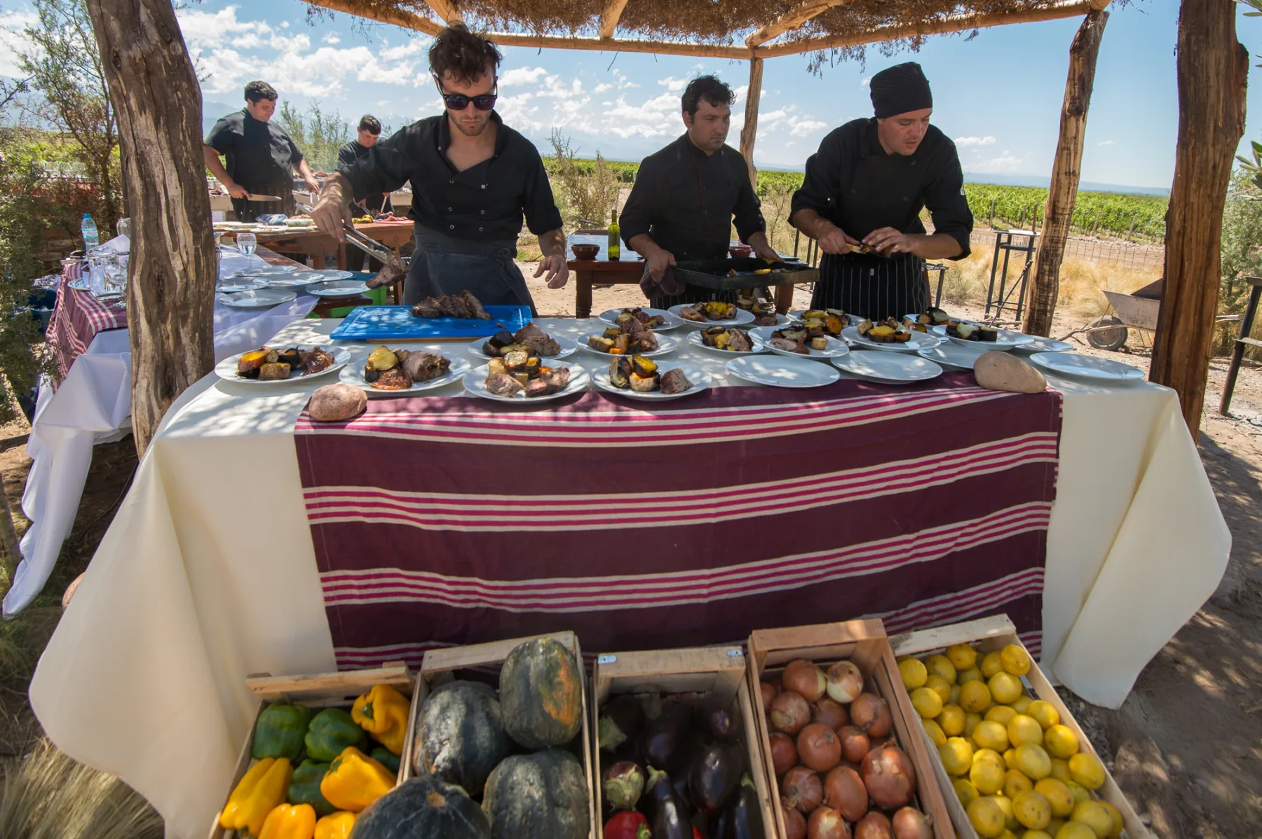 A farm-to-table meal being prepared among the vineyards of Mendoza