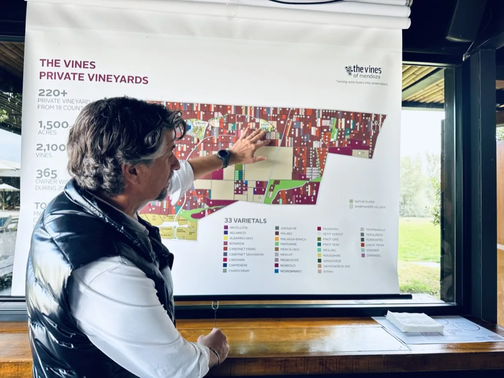 A private vineyard specialist presenting vineyard parcels in Mendoza