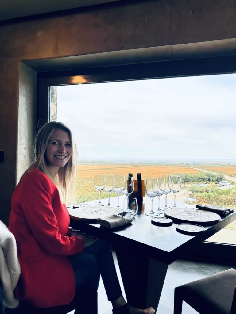 A private wine tasting overlooking the vineyards of Mendoza
