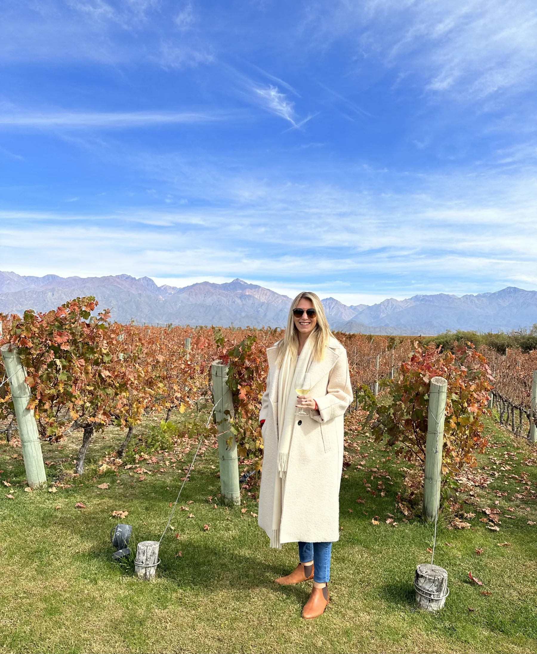 A traveler among autumn vineyards with the Andes in the distance