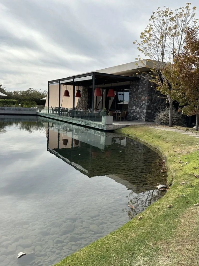 A contemporary Mendoza winery reflected in a tranquil pool