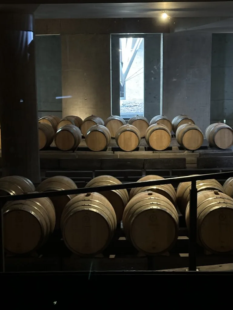 Rows of wine barrels aging in a Mendoza cellar