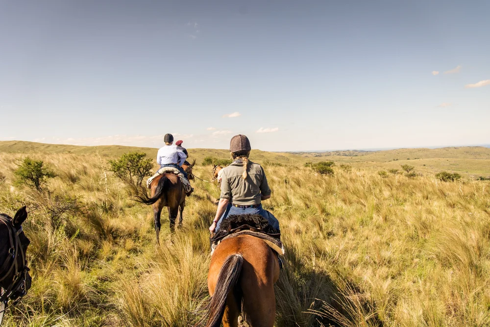 Horseback riding and polo traditions on an Argentine estancia