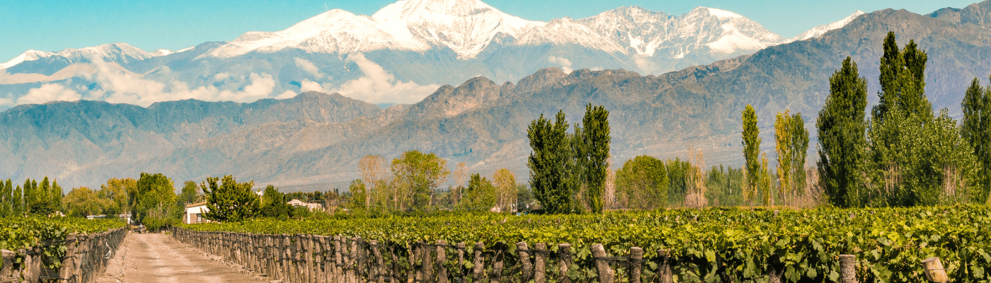 WINEMAKER IN MENDOZA